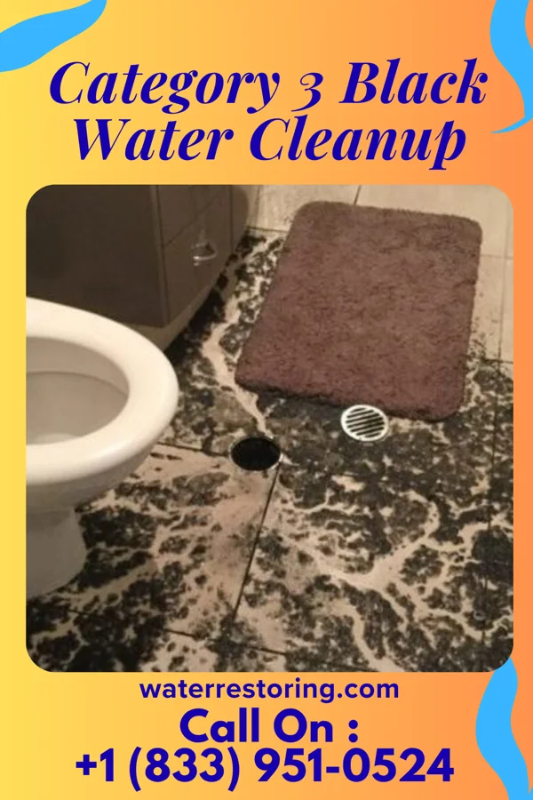 Category 3 Black Water Cleanup in St. Martinville, LA