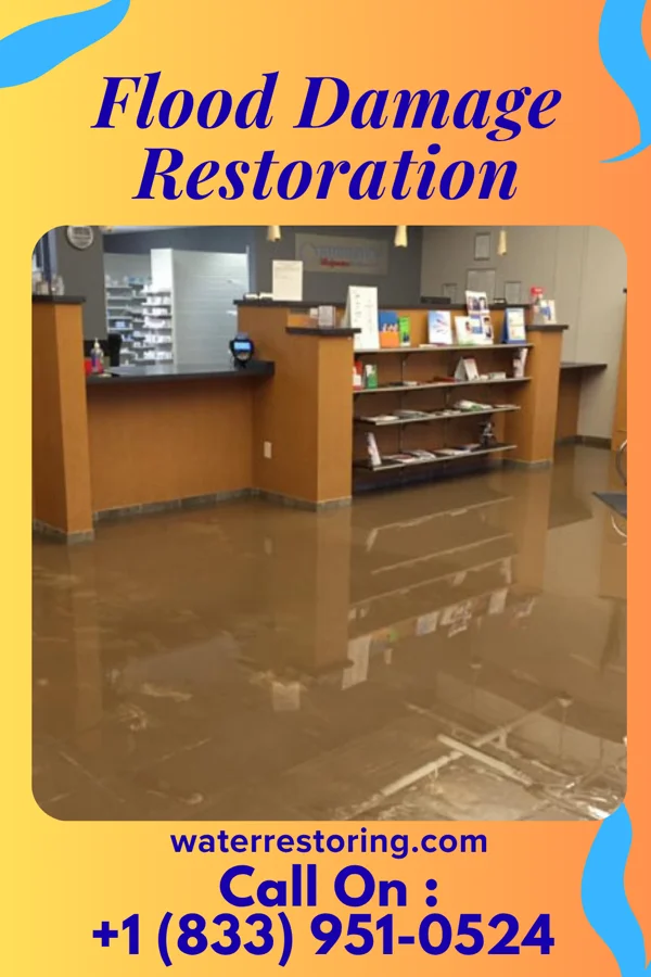 Flood Damage Restoration in St. Martinville, LA