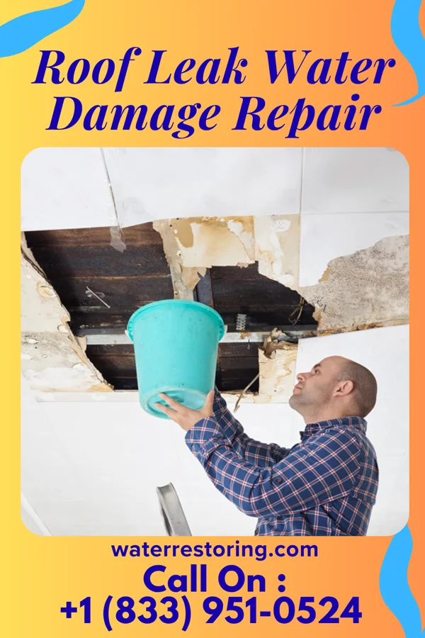 Roof Leak Water Damage Repair in St. Martinville, LA