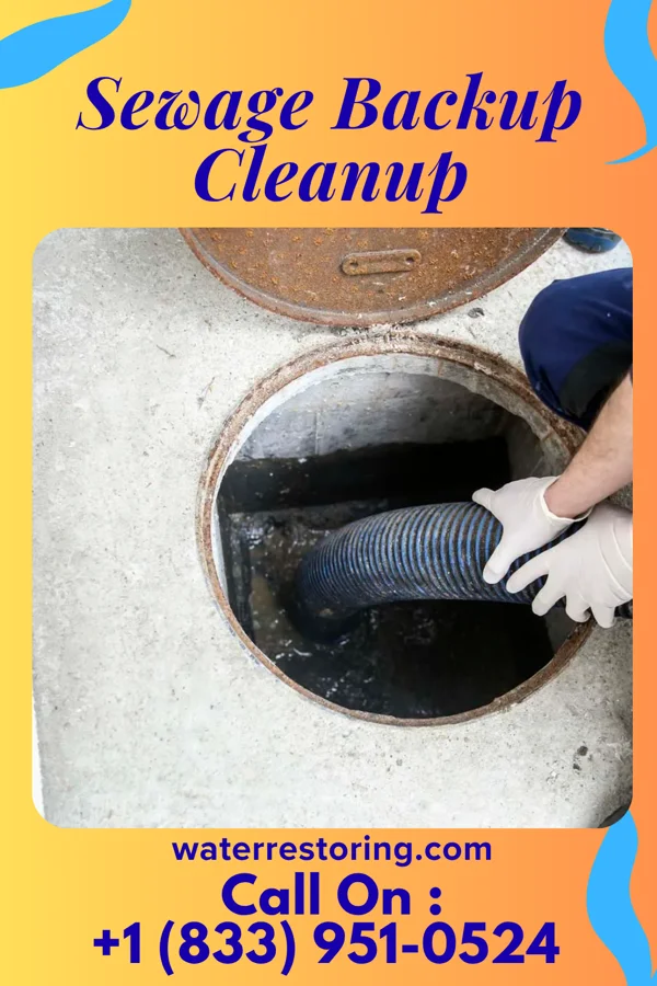 Sewage Backup Cleanup in St. Martinville, LA